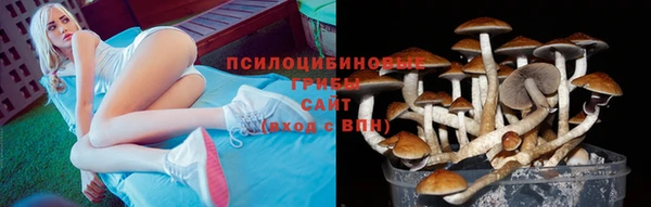 ALPHA PVP Абдулино